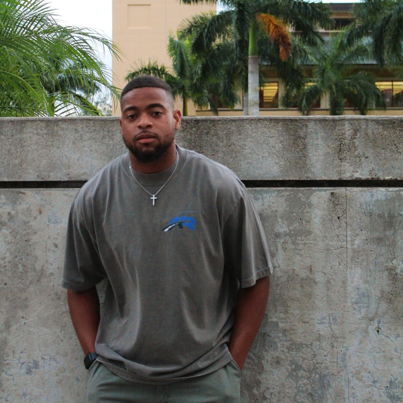 "ꜱᴛᴇᴀᴅʏ ʀᴏᴀᴅ" ᴛʜᴇ ɢʀᴇʏ ᴛᴇᴇ