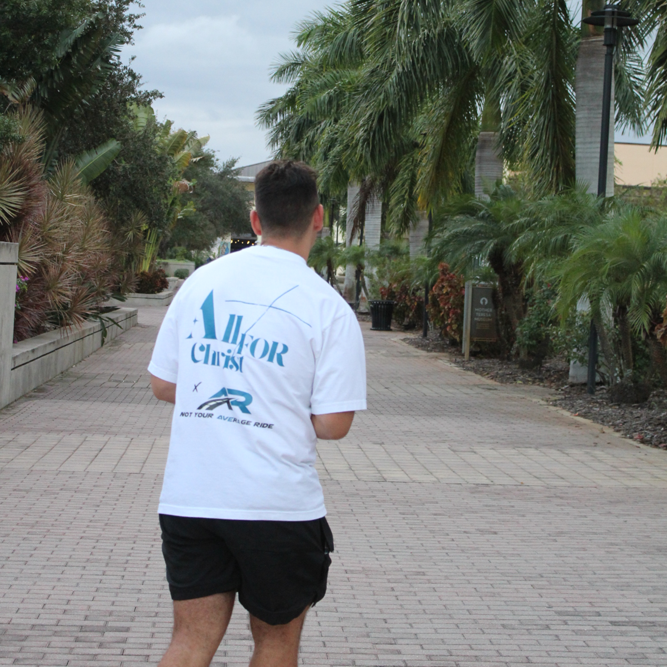 "ᴛʜᴇ ᴊᴏᴜʀɴᴇʏ ʙᴇɢɪɴꜱ" ᴛʜᴇ ᴡʜɪᴛᴇ ᴛᴇᴇ